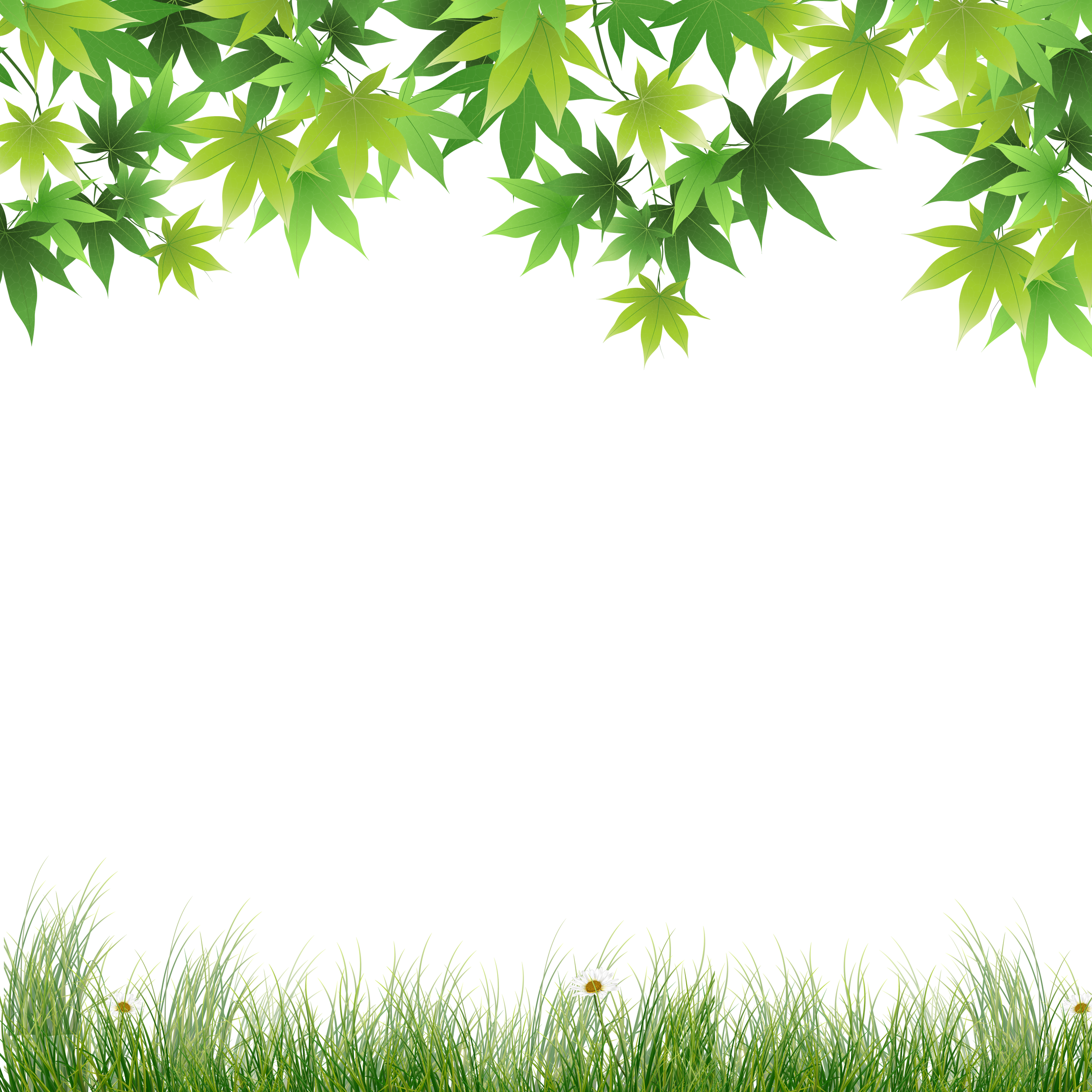Spring Grass with Tree Branches